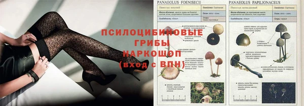 синтетический гашиш Елабуга