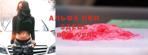 крисы Ельня
