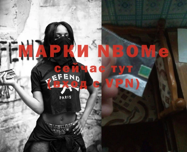 крисы Ельня
