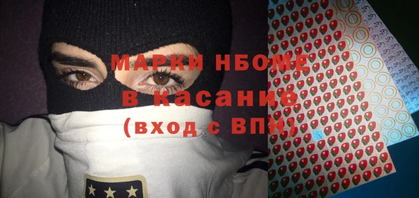 крисы Ельня