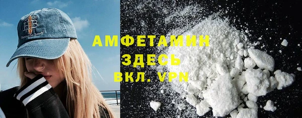 крисы Ельня