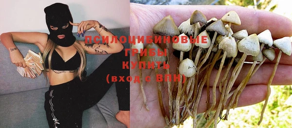синтетический гашиш Елабуга