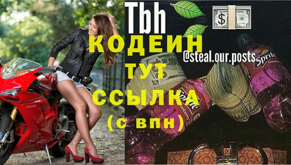 крисы Ельня