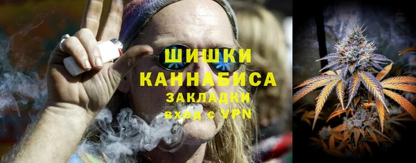 крисы Ельня