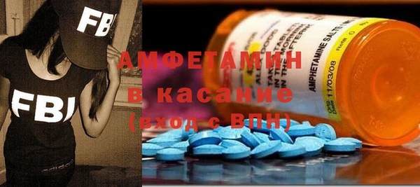 крисы Ельня