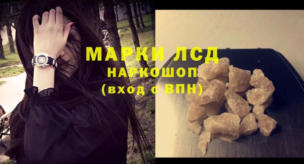 крисы Ельня