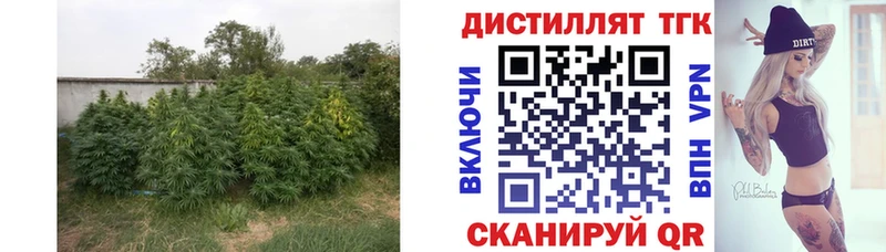 закладки Суздаль ТГК жижа