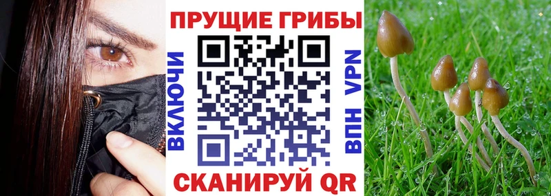 Псилоцибиновые грибы ЛСД  Суздаль 